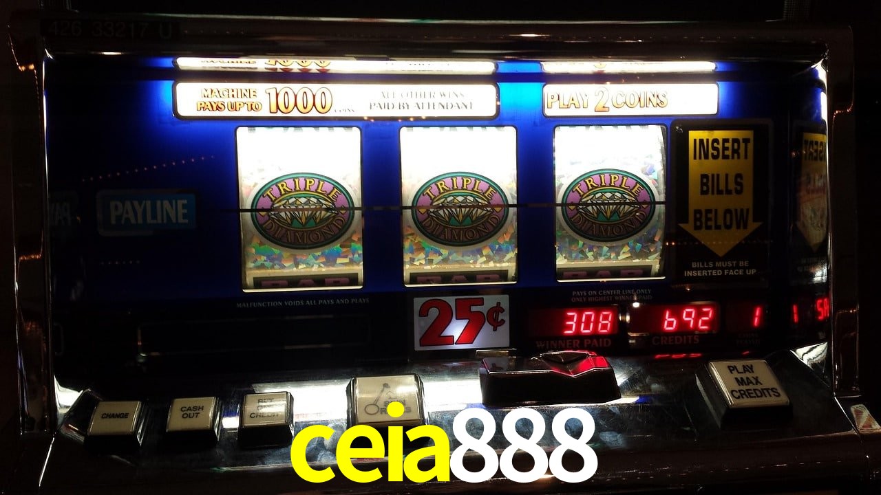 Sports Statistics ceia888